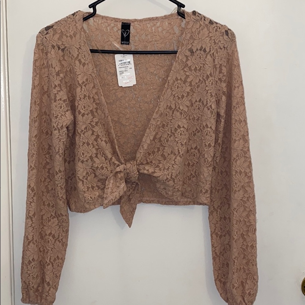 Windsor taupe cropped lace shirt with tie front